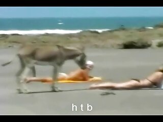 Sale tête blonde chienne obtient son anus hardcore pose de cowgirl inversé foré film erotique gratuit amateur